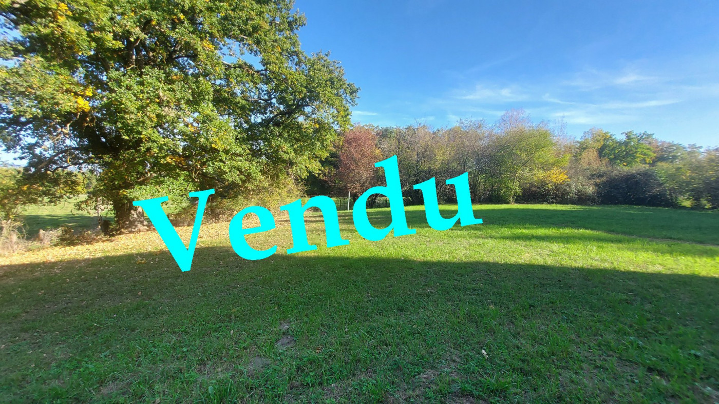 vente Terrain Orleat - Photo 1