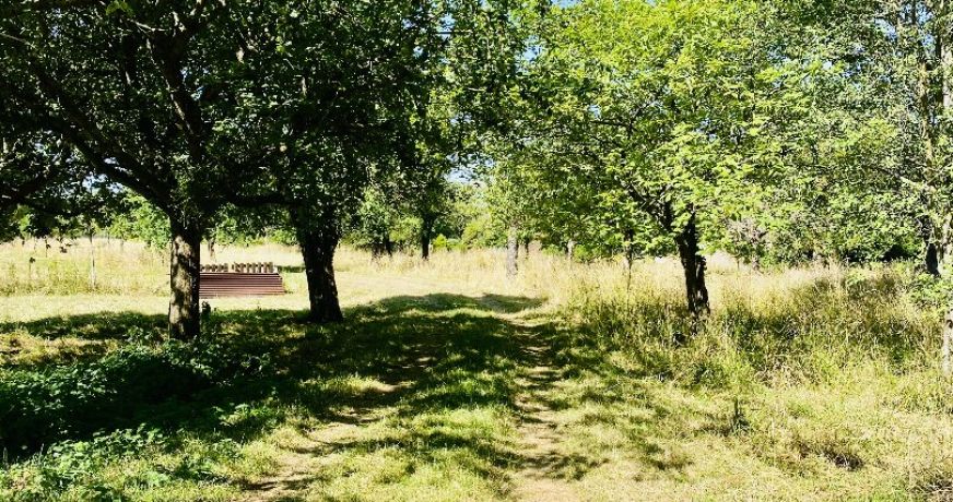 vente Maison normande Heurteauville