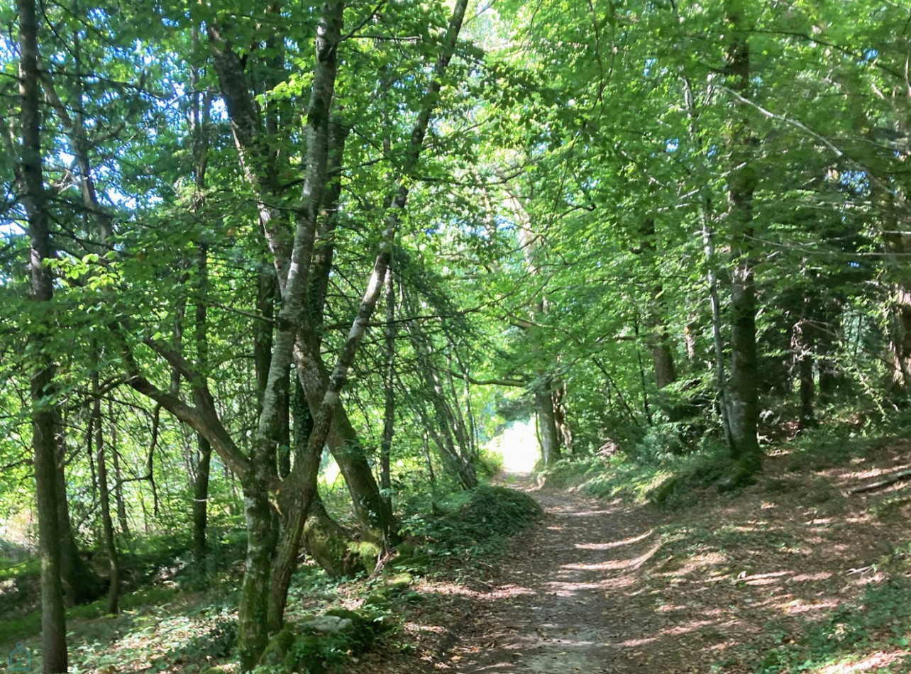 vente Haras / equestre Nieul - Photo 6