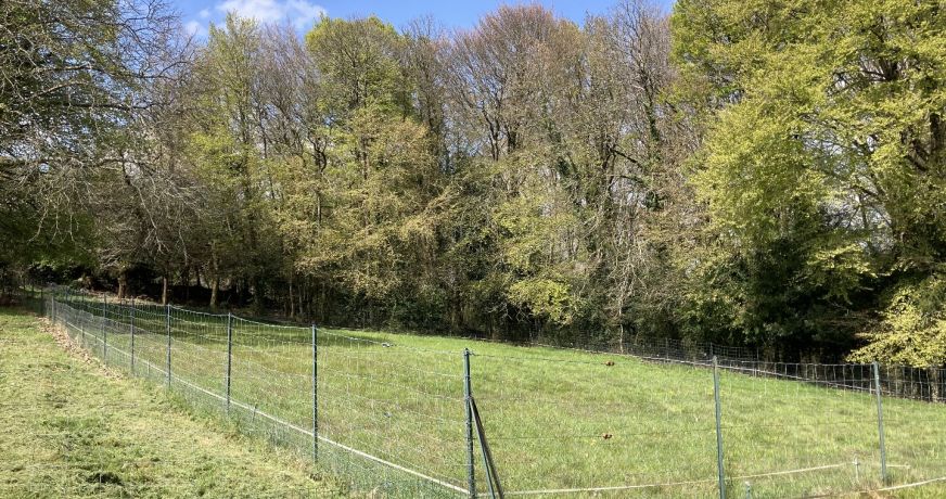 vente Terrain constructible Plumeliau