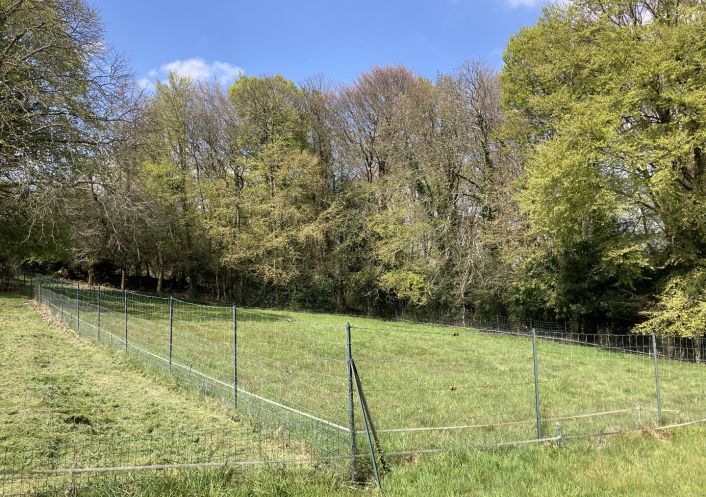 vente Terrain constructible Plumeliau