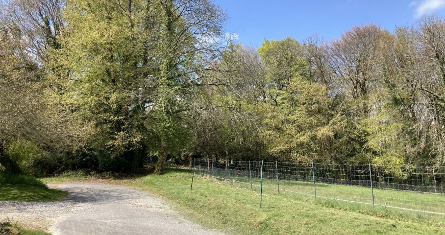 vente Terrain constructible Plumeliau