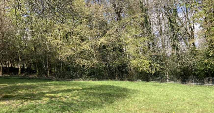 vente Terrain constructible Plumeliau