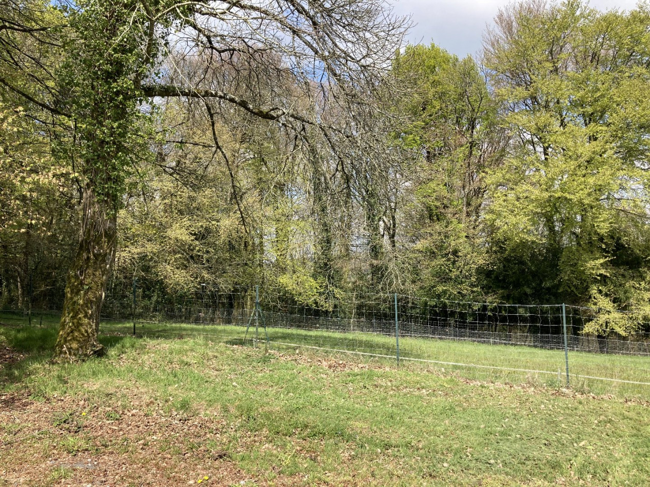 vente Terrain constructible Plumeliau - Photo 4