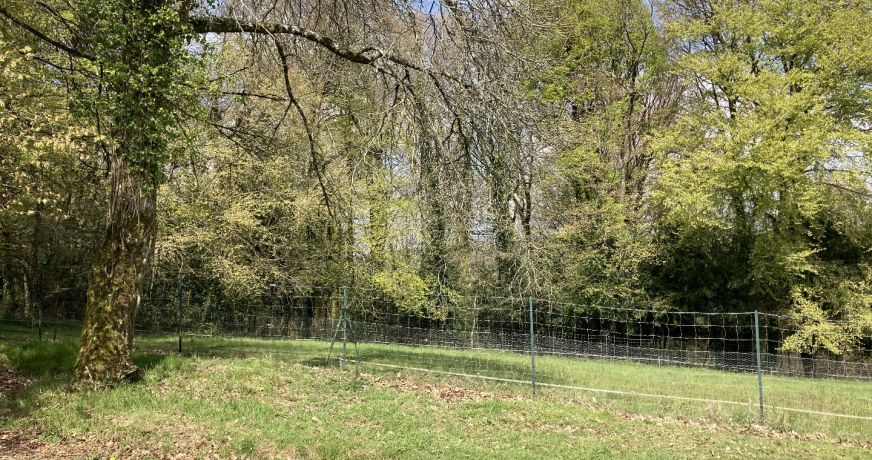 vente Terrain constructible Plumeliau