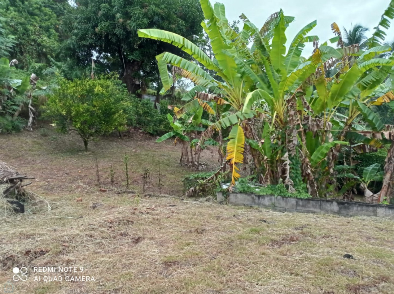 vente Terrain constructible Ducos - Photo 2