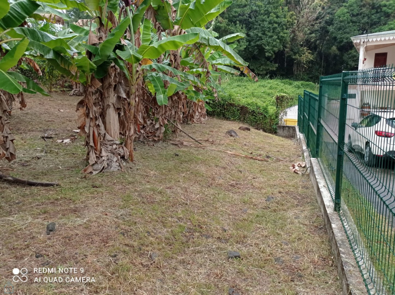 vente Terrain constructible Ducos - Photo 3