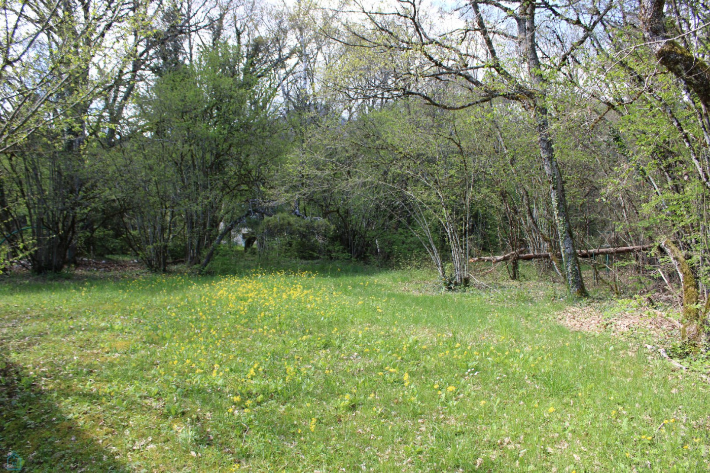 vente Maison Gex - Photo 8