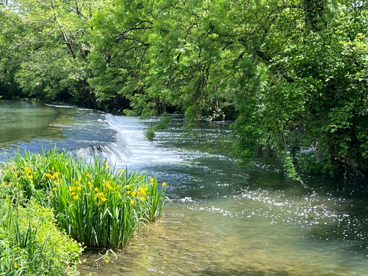 vente Propriété pied dans l'eau La Creche - Photo 11