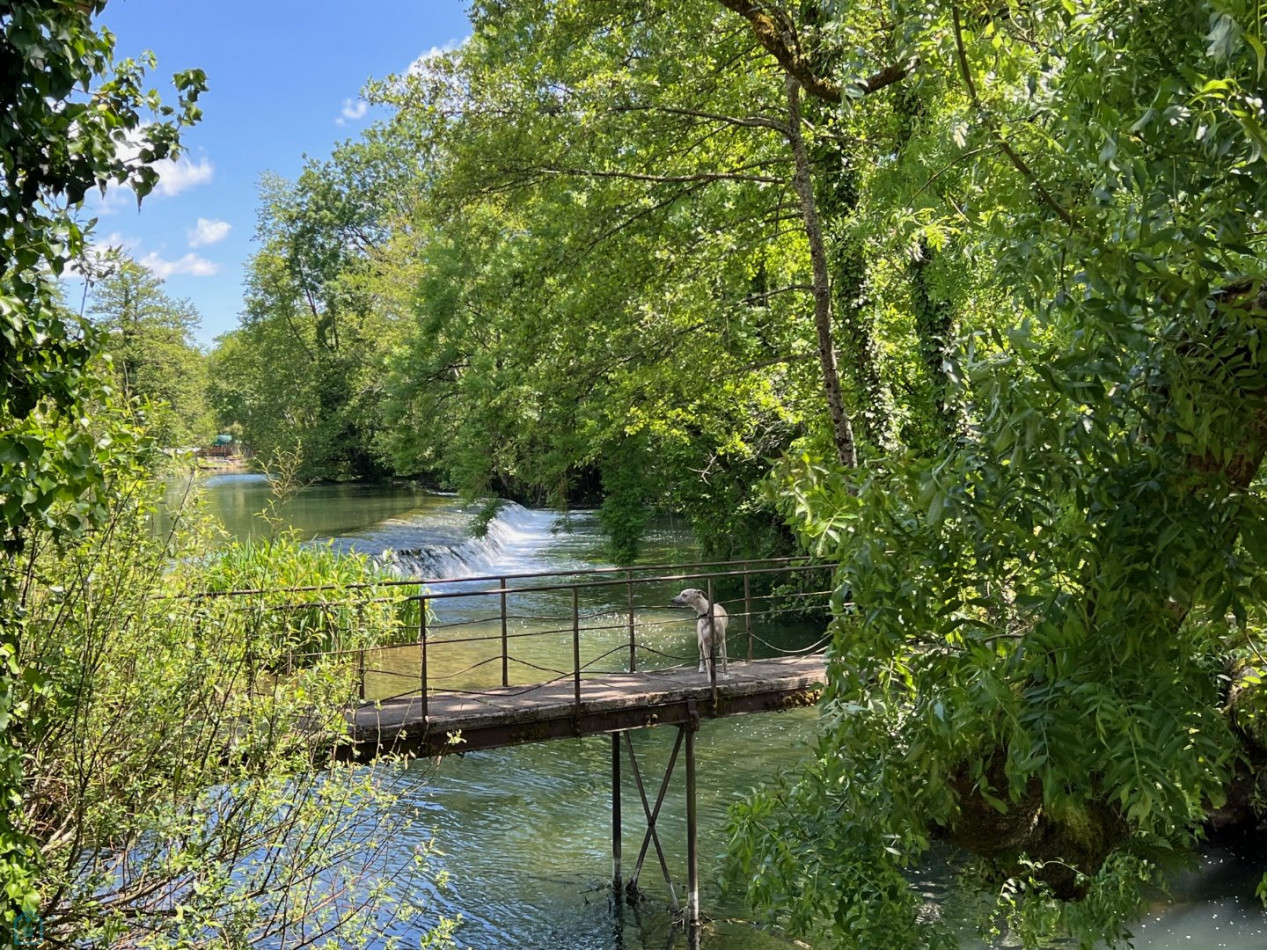 vente Propriété pied dans l'eau La Creche - Photo 5