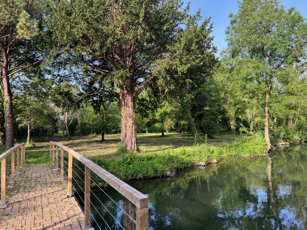 vente Propriété pied dans l'eau La Creche - Photo 10