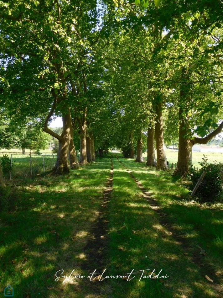 vente Maison de maître Montendre - Photo 2