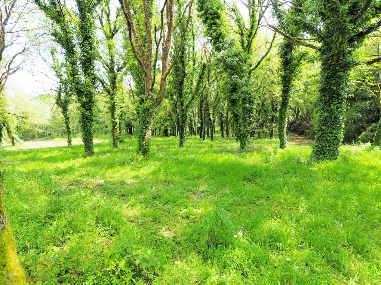 vente Maison en pierre Colpo - Photo 14