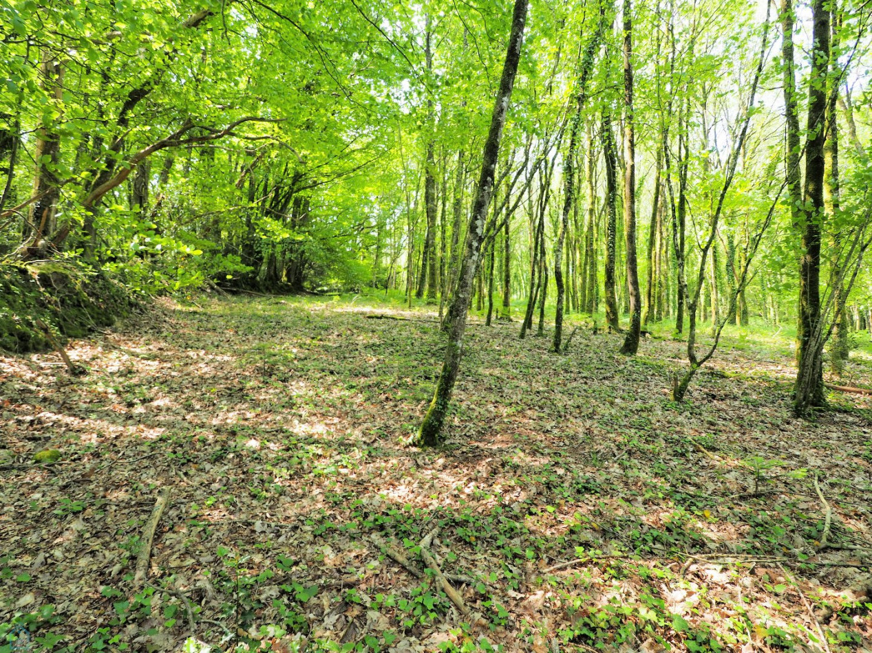 vente Maison en pierre Colpo - Photo 16