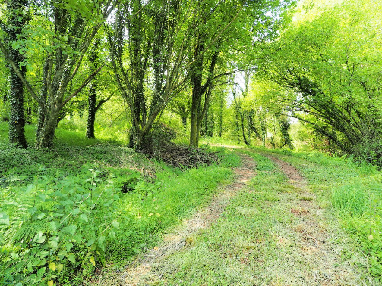 vente Maison en pierre Colpo - Photo 19