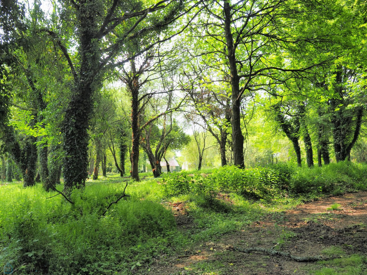 vente Maison en pierre Colpo - Photo 20