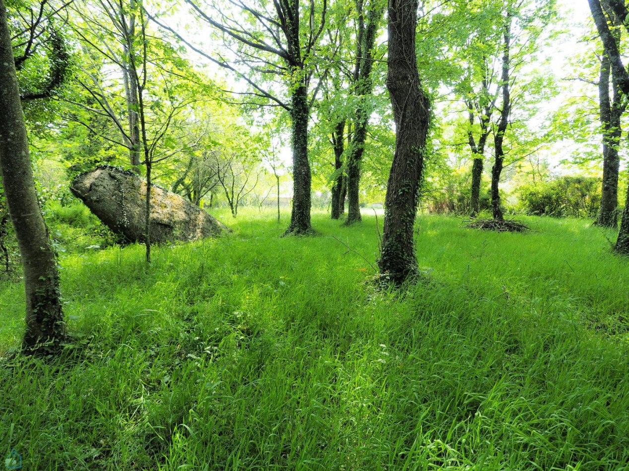 vente Maison en pierre Colpo - Photo 13