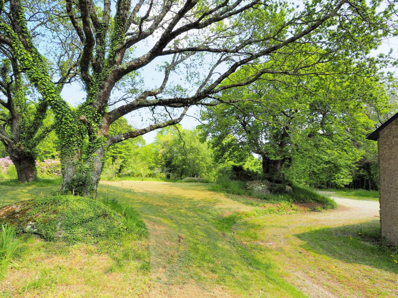 vente Maison en pierre Colpo - Photo 11