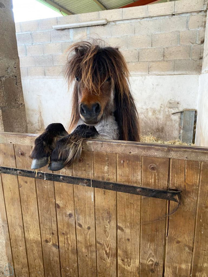 vente Propriété Bellac - Photo 6