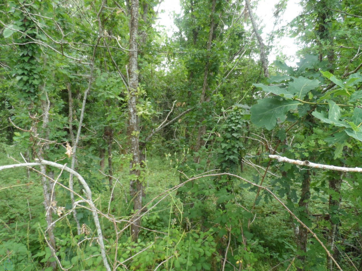 vente Terrain de loisir Saint Privat - Photo 8