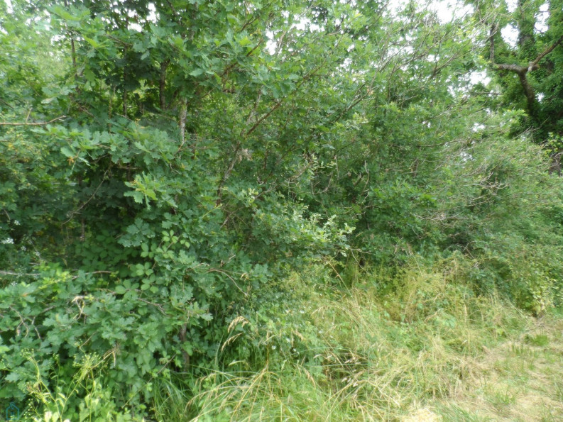 vente Terrain de loisir Saint Privat - Photo 9