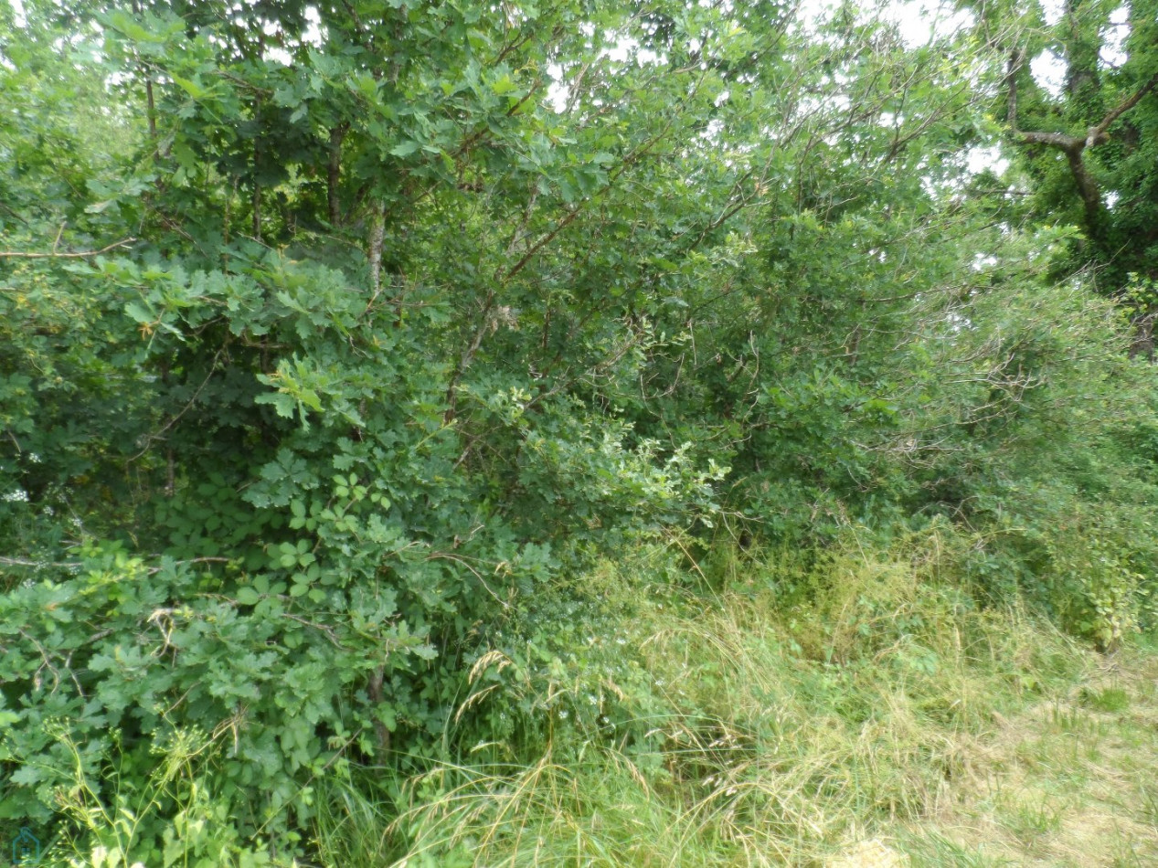 vente Terrain de loisir Saint Privat - Photo 9