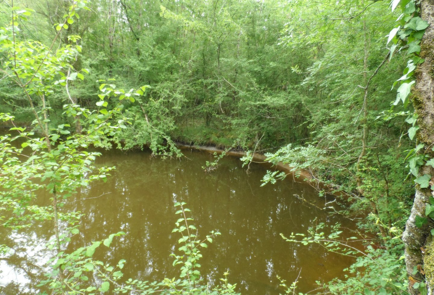 vente Terrain de loisir Saint Privat - Photo 2