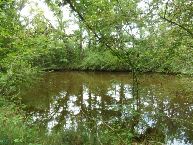 vente Terrain de loisir Saint Privat - Photo 2