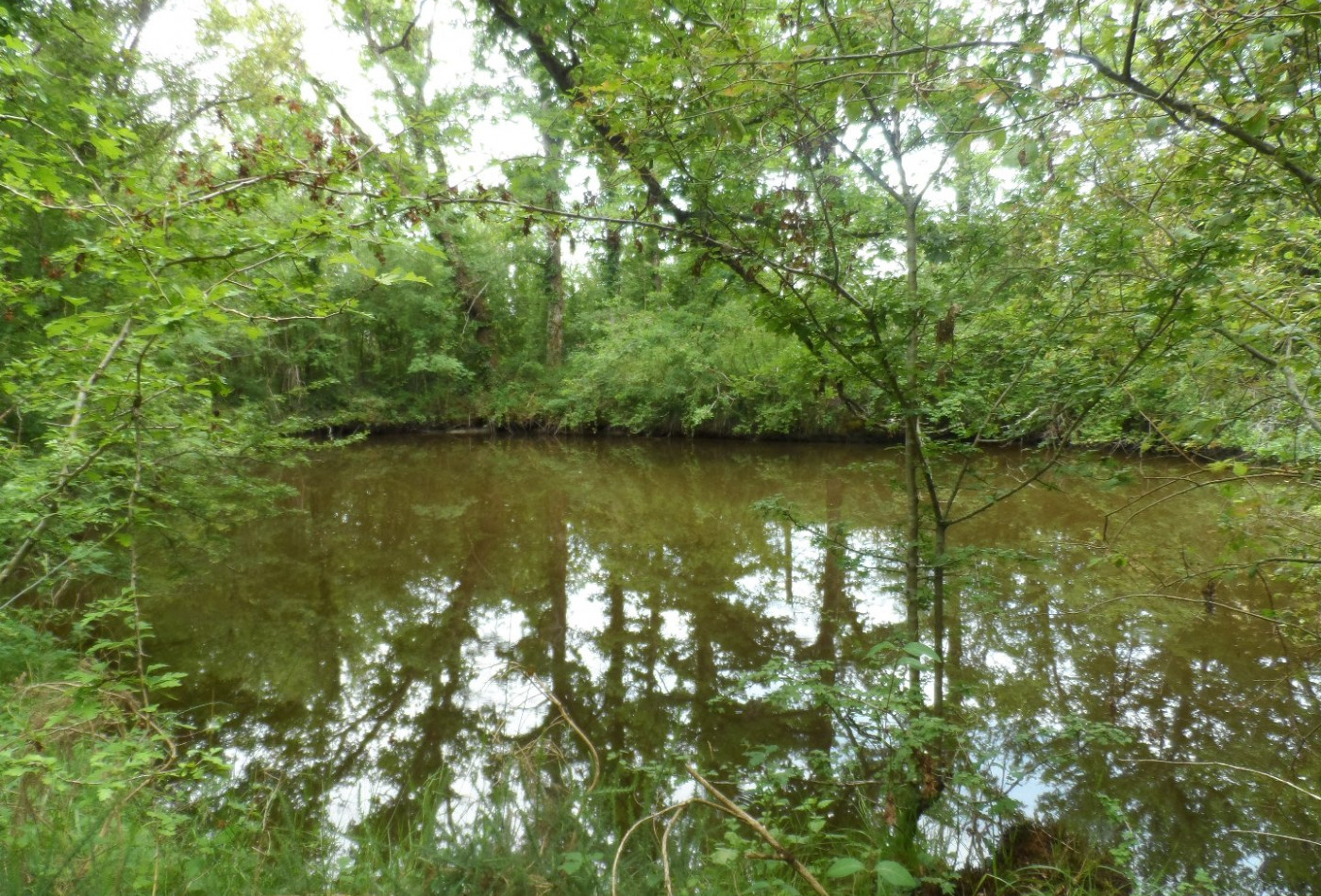 vente Terrain de loisir Saint Privat - Photo 4