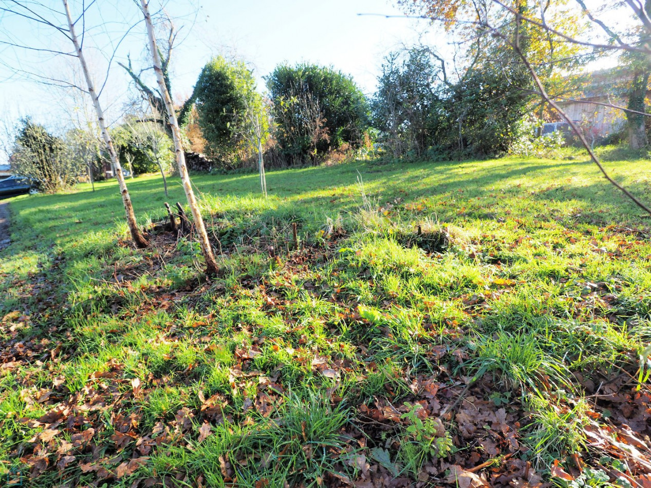 vente Terrain constructible Quistinic - Photo 5