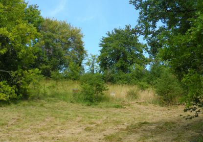 vente Terrain constructible Riberac