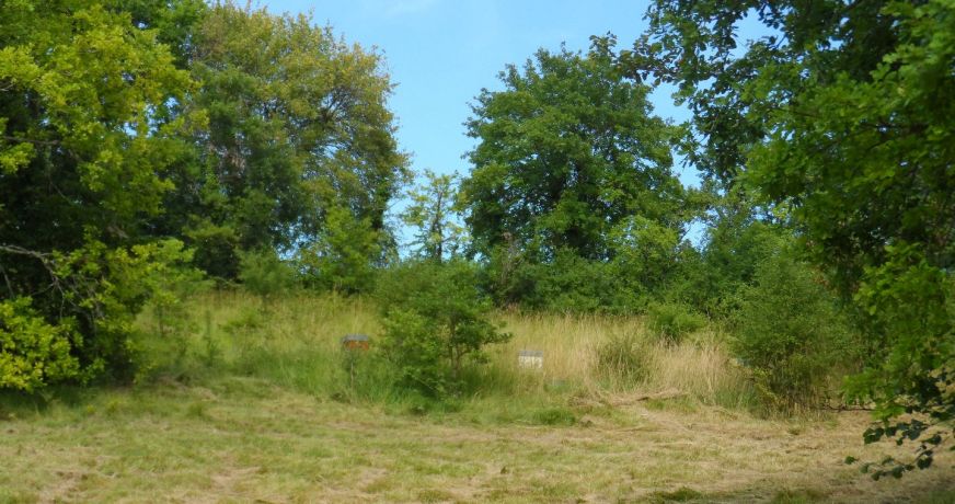 vente Terrain constructible Riberac