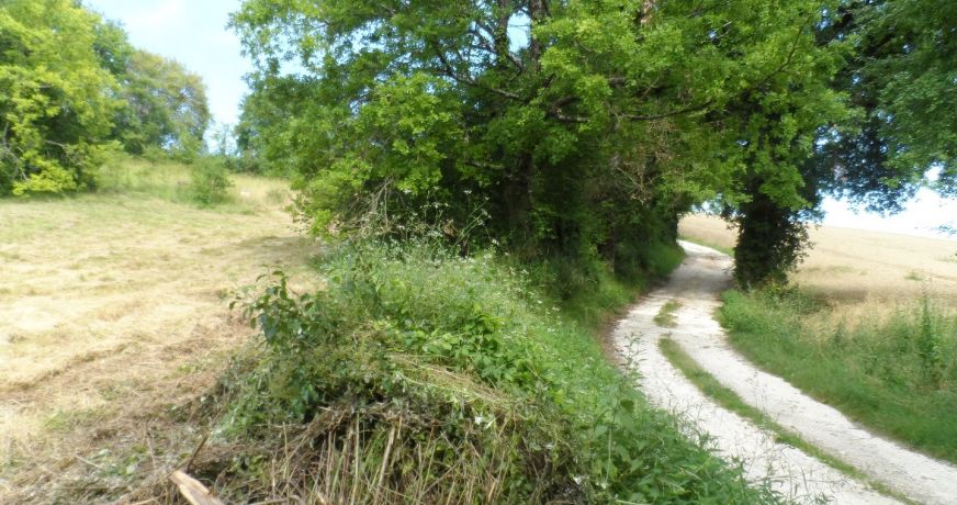 vente Terrain constructible Riberac