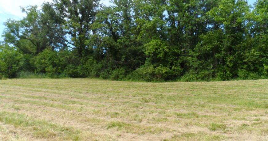 vente Terrain constructible Riberac