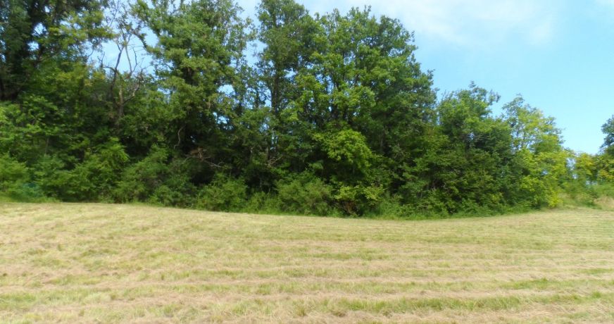 vente Terrain constructible Riberac