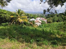 vente Fort De France