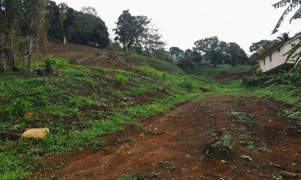 vente Fort De France