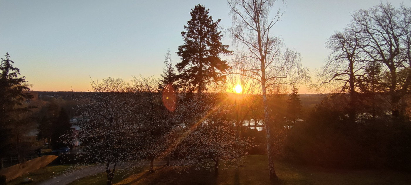 vente Villa d'architecte Fontainebleau - Photo 19