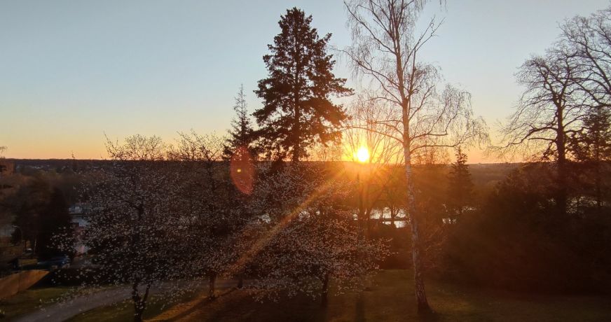 vente Villa d'architecte Fontainebleau