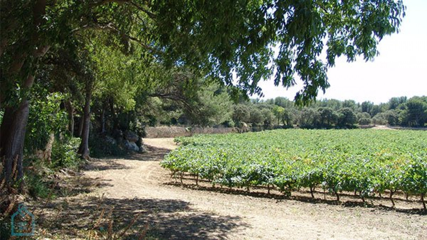 vente Terrain viticole Saint Chamas - Photo 1