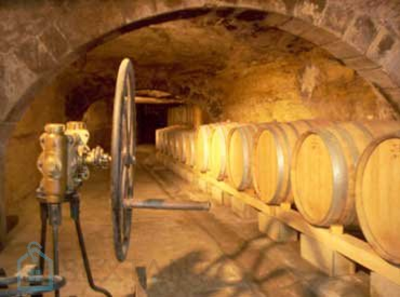 vente Terrain viticole Saint Chamas - Photo 7