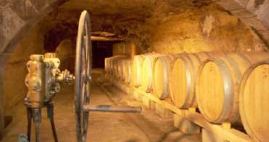 vente Terrain viticole Saint Chamas