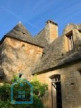vente Propriété Montignac