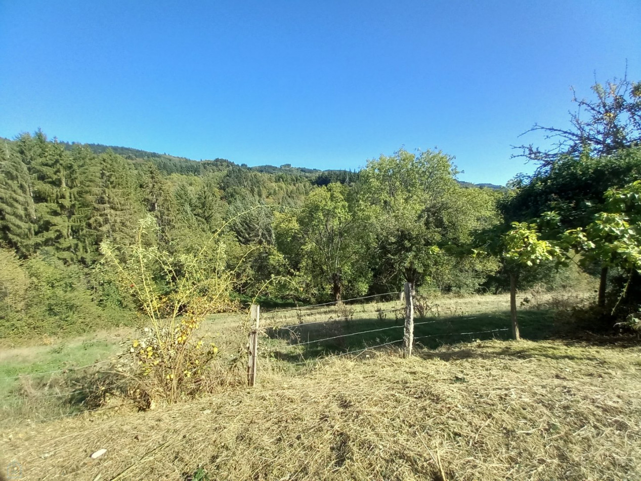 vente Fermette Vertolaye - Photo 1