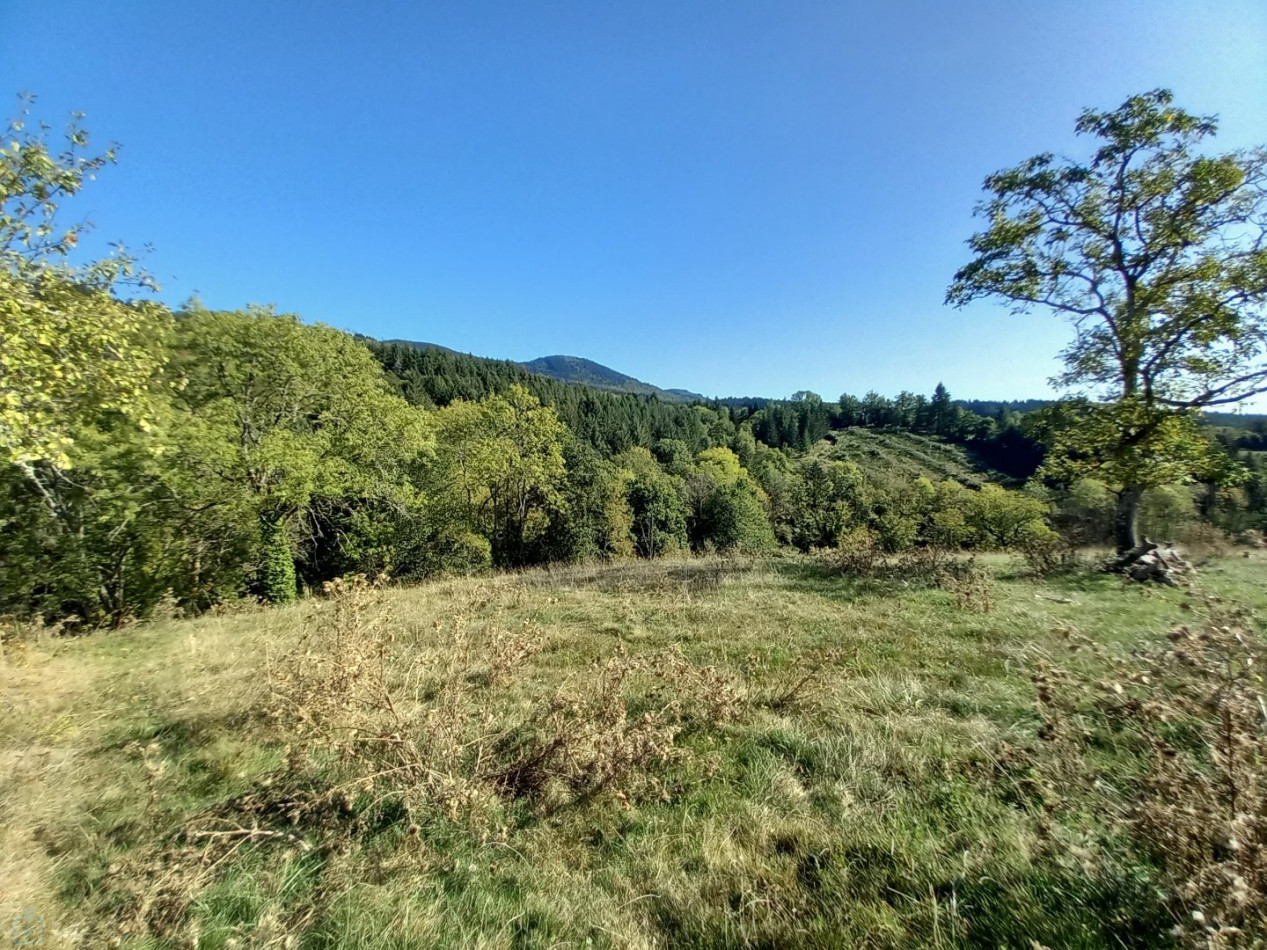 vente Fermette Vertolaye - Photo 2