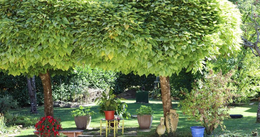 vente Maison Viuz La Chiesaz