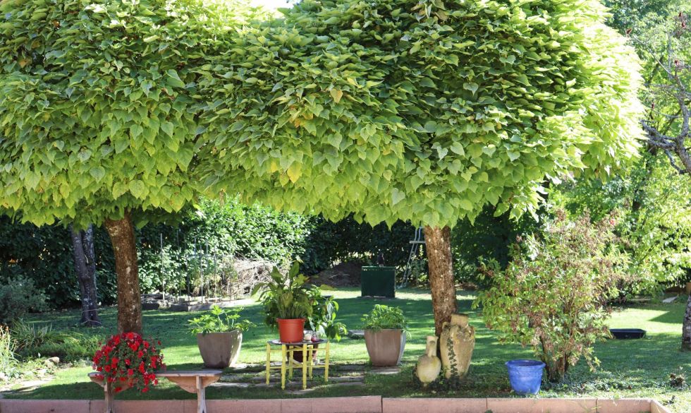 vente Viuz La Chiesaz