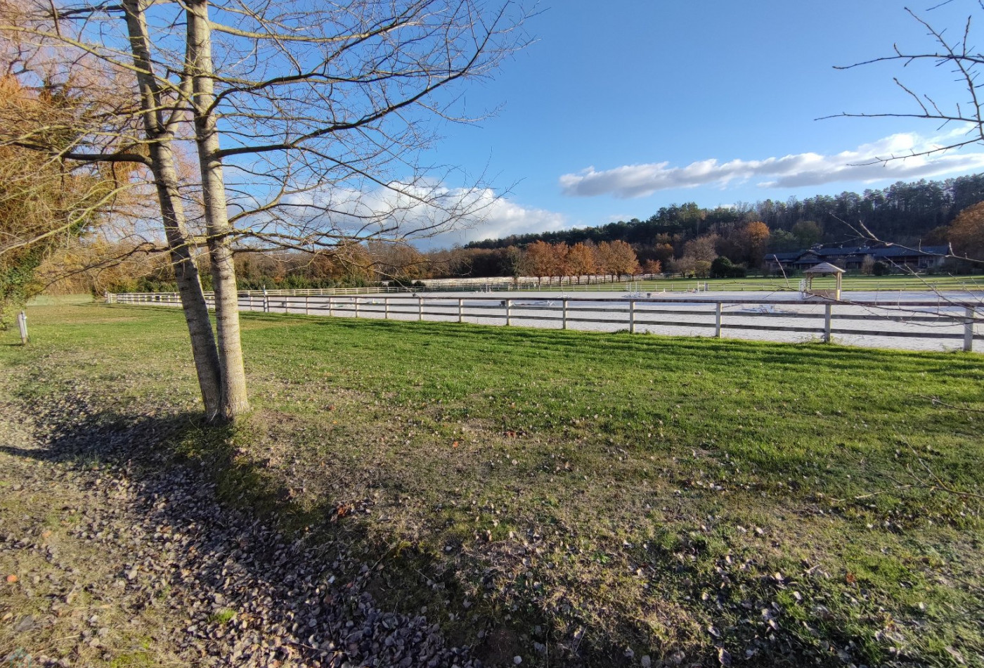 vente Haras / equestre Fontainebleau - Photo 3