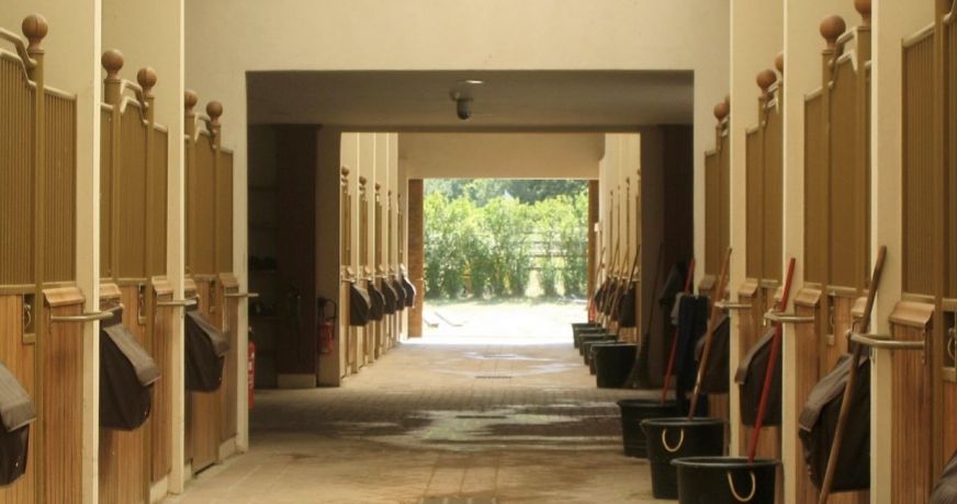vente Haras / equestre Fontainebleau