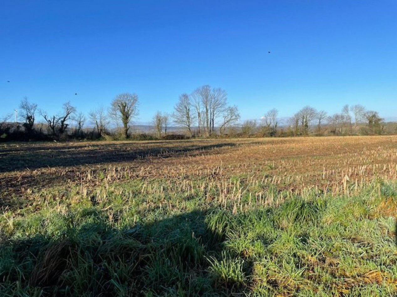 vente Maison Lothey - Photo 14